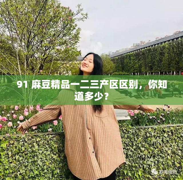 91 麻豆精品一二三产区区别，你知道多少？