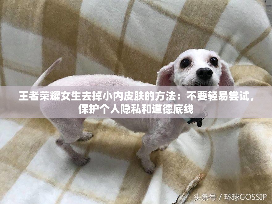 王者荣耀女生去掉小内皮肤的方法：不要轻易尝试，保护个人隐私和道德底线