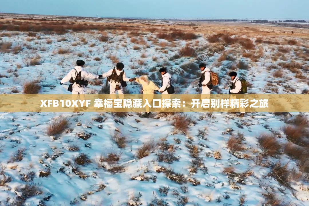 XFB10XYF 幸福宝隐藏入口探索：开启别样精彩之旅