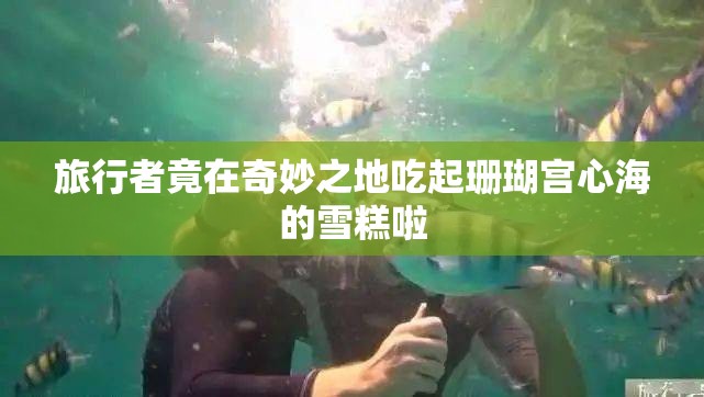 旅行者竟在奇妙之地吃起珊瑚宫心海的雪糕啦