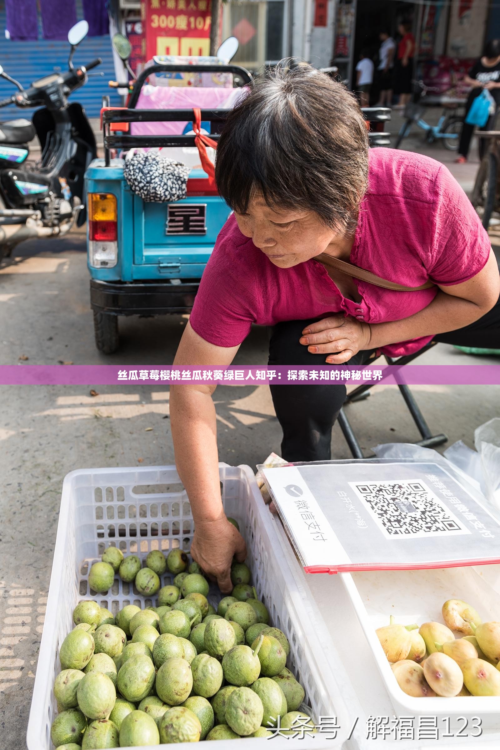 丝瓜草莓樱桃丝瓜秋葵绿巨人知乎：探索未知的神秘世界