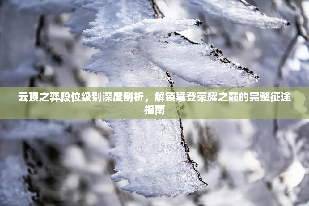 云顶之弈段位级别深度剖析，解锁攀登荣耀之巅的完整征途指南