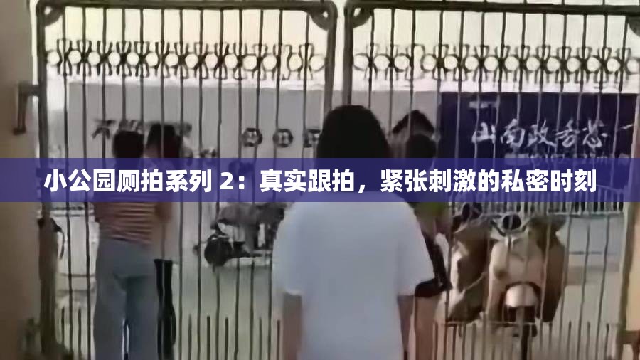 小公园厕拍系列 2：真实跟拍，紧张刺激的私密时刻