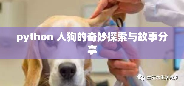 python 人狗的奇妙探索与故事分享