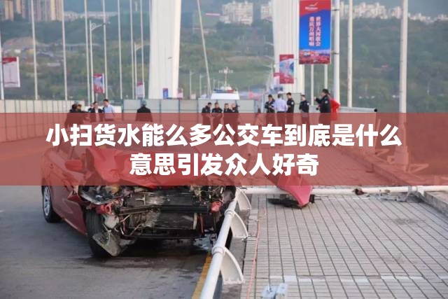 小扫货水能么多公交车到底是什么意思引发众人好奇