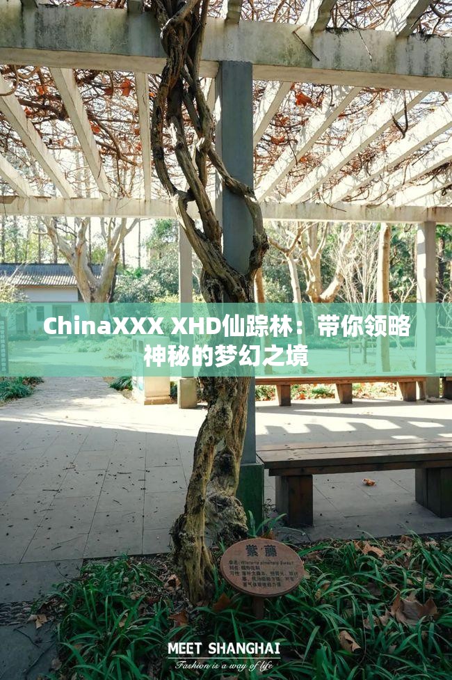 ChinaXXX XHD仙踪林：带你领略神秘的梦幻之境