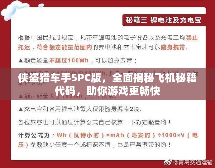 侠盗猎车手5PC版，全面揭秘飞机秘籍代码，助你游戏更畅快