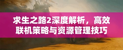 求生之路2深度解析，高效联机策略与资源管理技巧详解