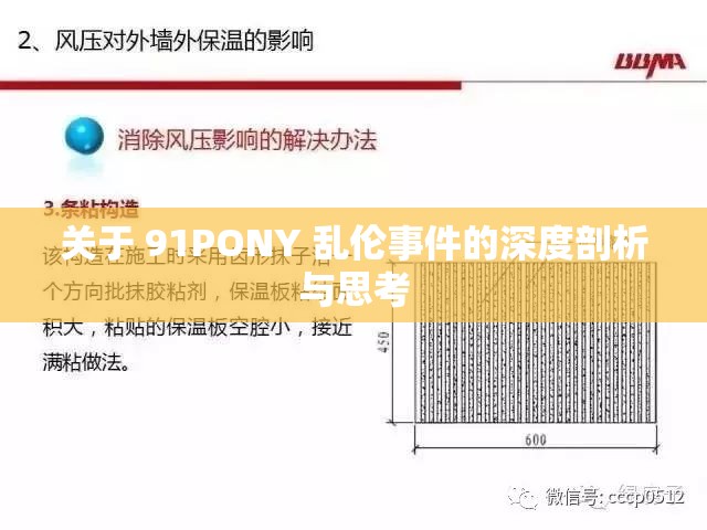 关于 91PONY 乱伦事件的深度剖析与思考