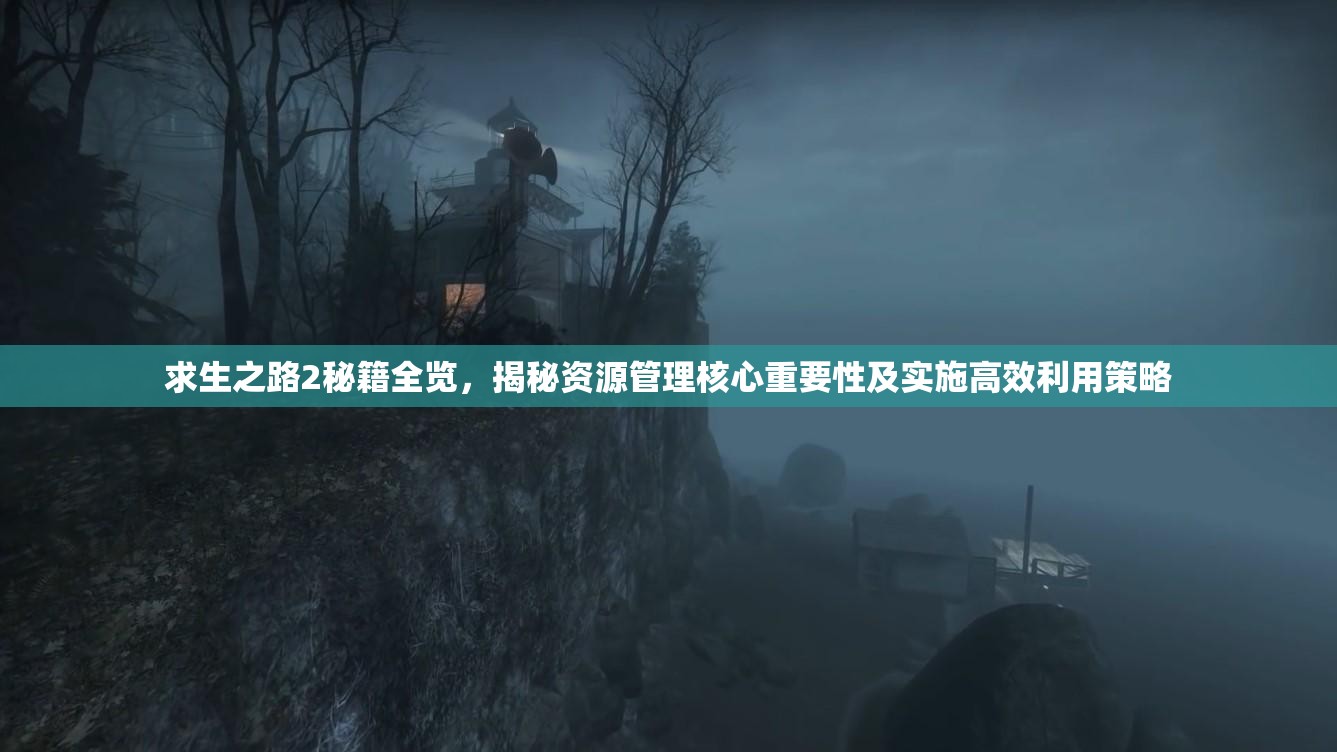 求生之路2秘籍全览，揭秘资源管理核心重要性及实施高效利用策略