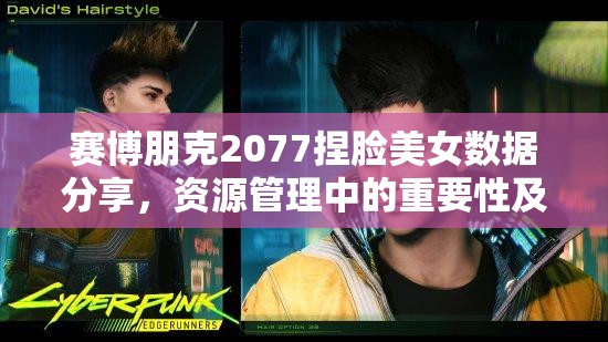 赛博朋克2077捏脸美女数据分享，资源管理中的重要性及高效利用策略解析