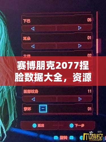 赛博朋克2077捏脸数据大全，资源管理中的重要性及高效整合利用策略解析