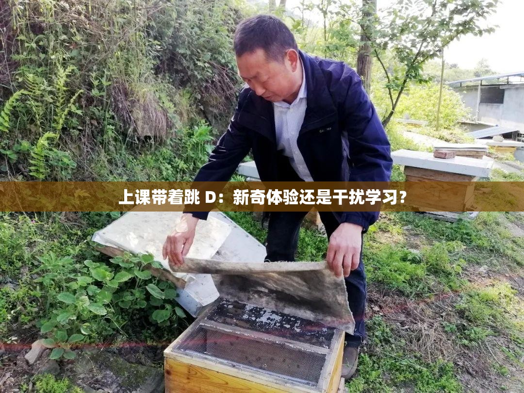 上课带着跳 D：新奇体验还是干扰学习？