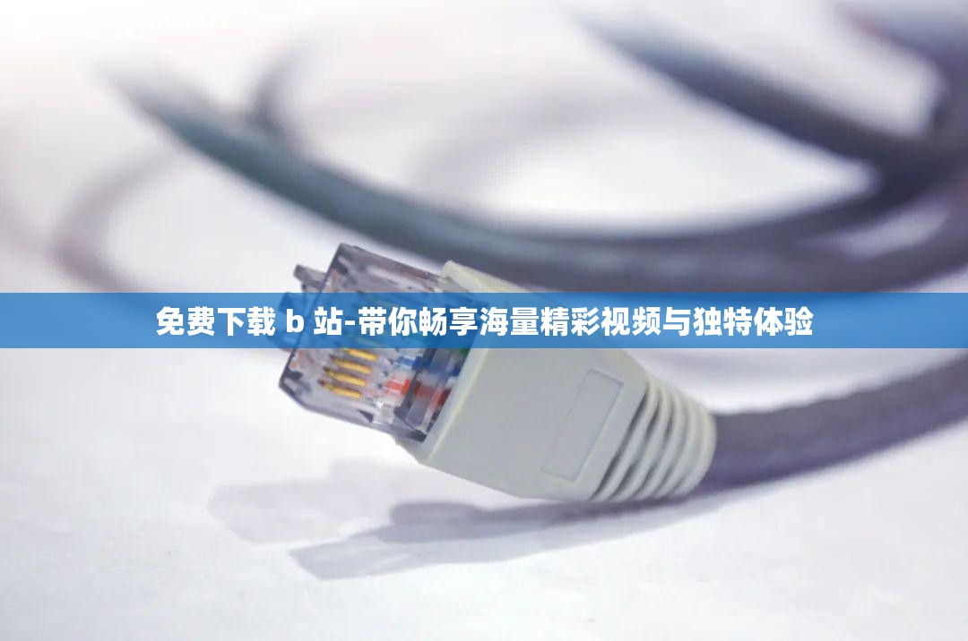 免费下载 b 站-带你畅享海量精彩视频与独特体验