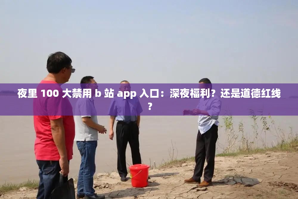 夜里 100 大禁用 b 站 app 入口：深夜福利？还是道德红线？