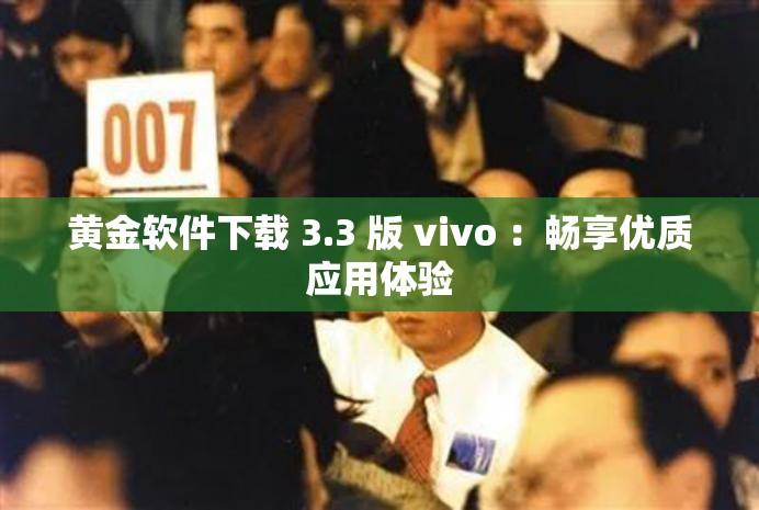 黄金软件下载 3.3 版 vivo ：畅享优质应用体验
