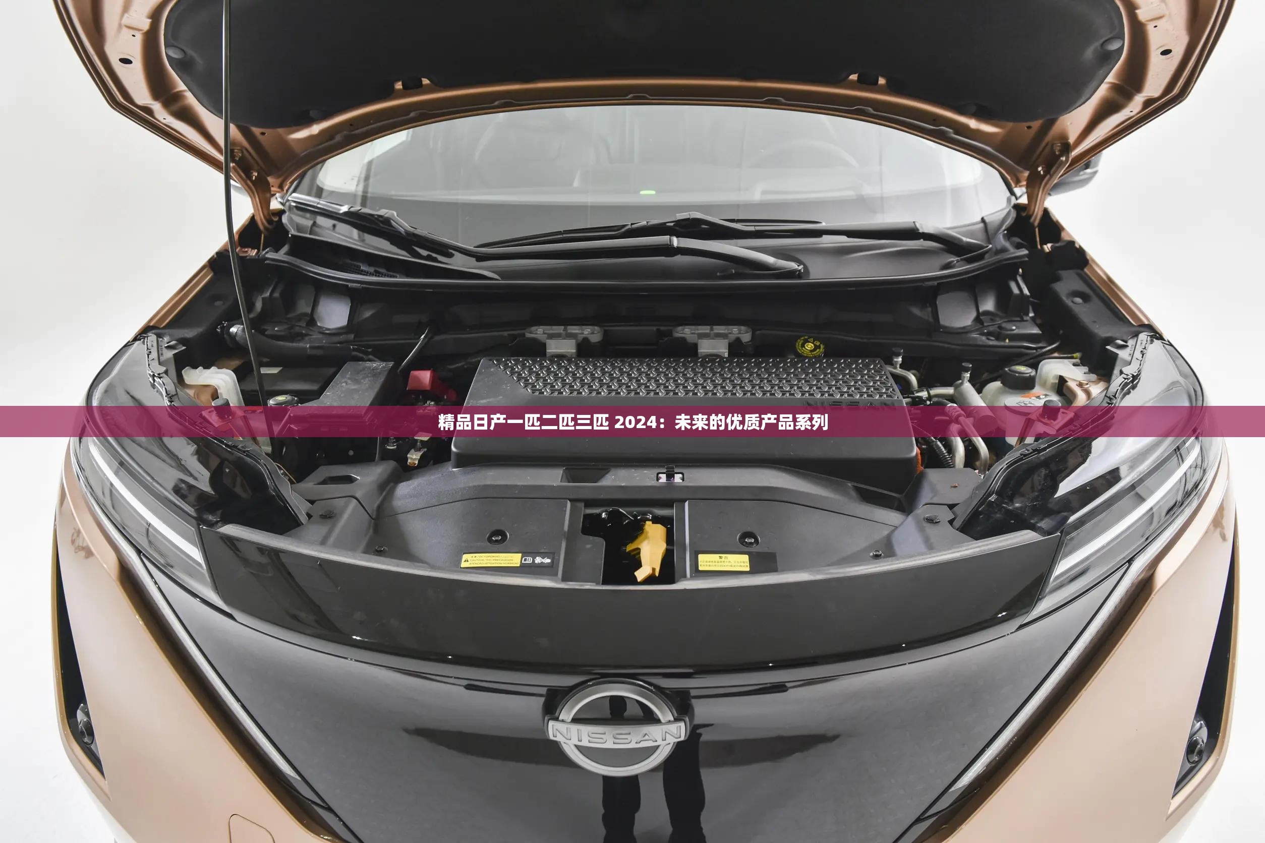 精品日产一匹二匹三匹 2024：未来的优质产品系列