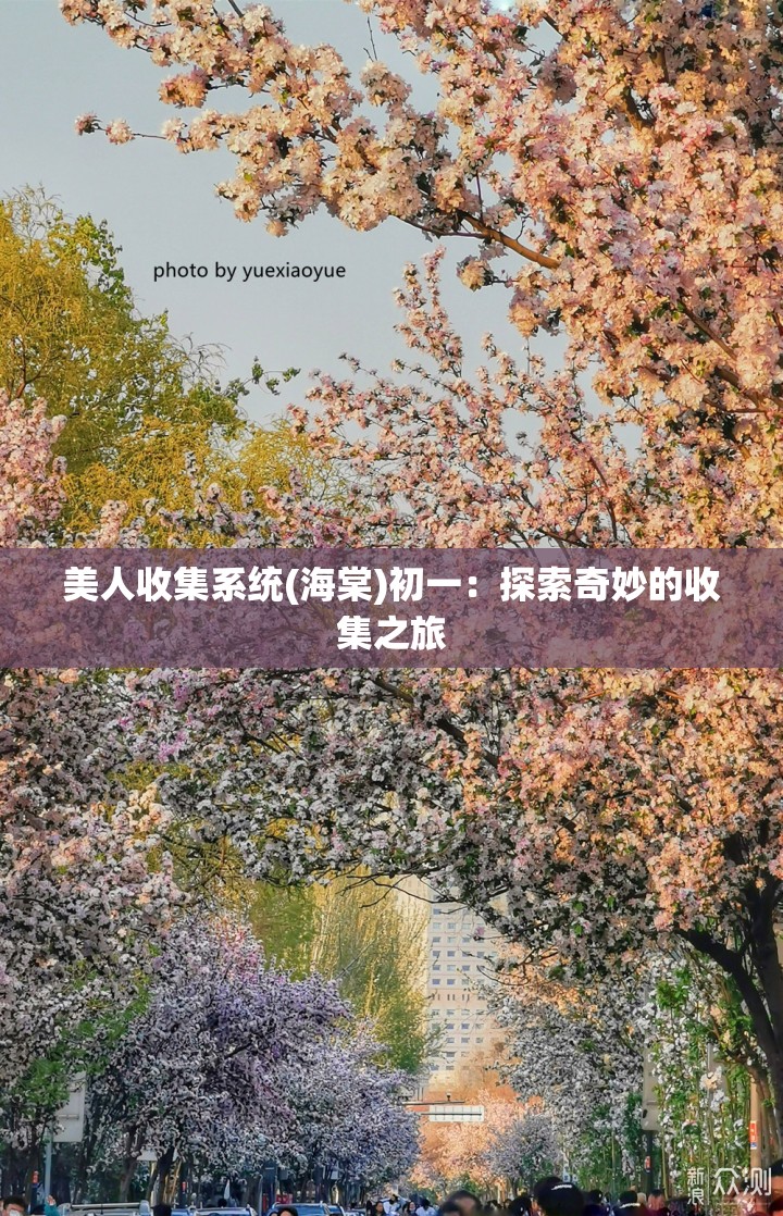 美人收集系统(海棠)初一：探索奇妙的收集之旅