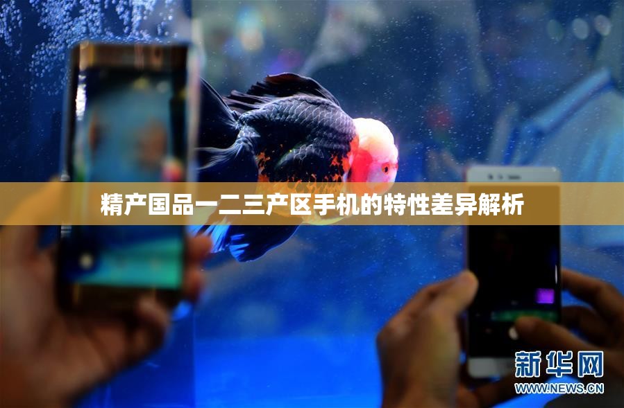 精产国品一二三产区手机的特性差异解析