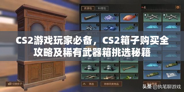 CS2游戏玩家必备，CS2箱子购买全攻略及稀有武器箱挑选秘籍