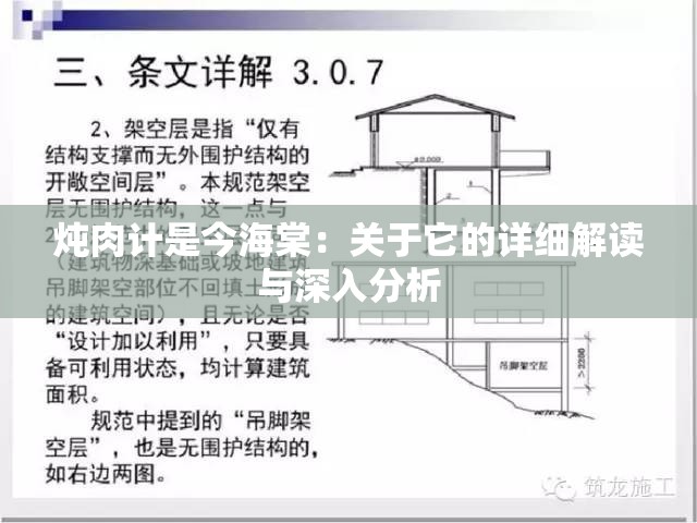 炖肉计是今海棠：关于它的详细解读与深入分析