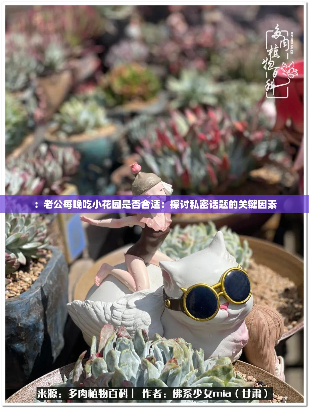 ：老公每晚吃小花园是否合适：探讨私密话题的关键因素