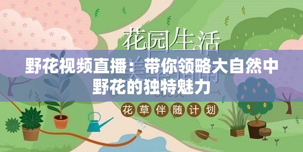 野花视频直播：带你领略大自然中野花的独特魅力