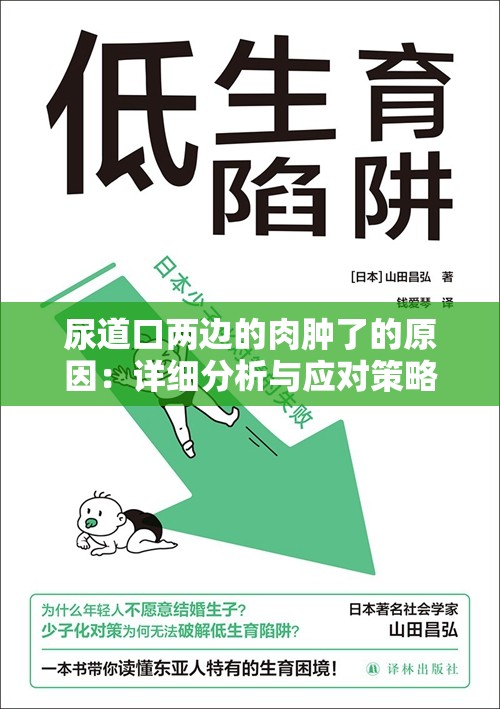 尿道口两边的肉肿了的原因：详细分析与应对策略