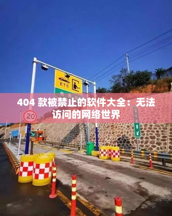 404 款被禁止的软件大全：无法访问的网络世界