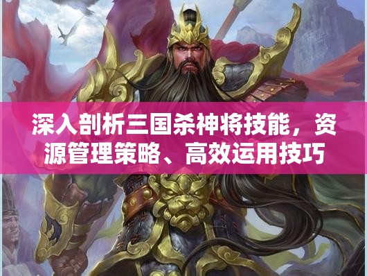 深入剖析三国杀神将技能，资源管理策略、高效运用技巧及避免浪费指南