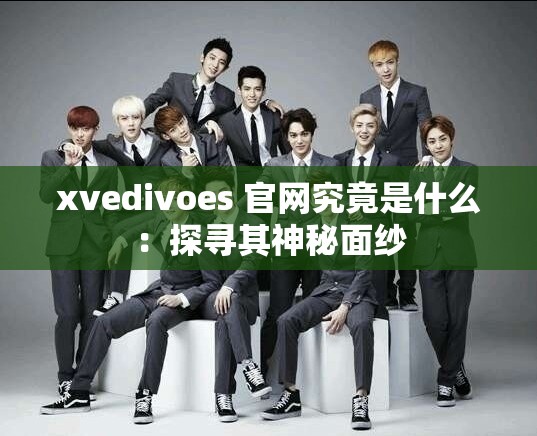 xvedivoes 官网究竟是什么：探寻其神秘面纱
