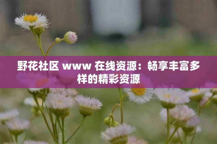 野花社区 www 在线资源：畅享丰富多样的精彩资源