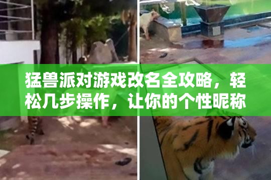 猛兽派对游戏改名全攻略，轻松几步操作，让你的个性昵称随心更换