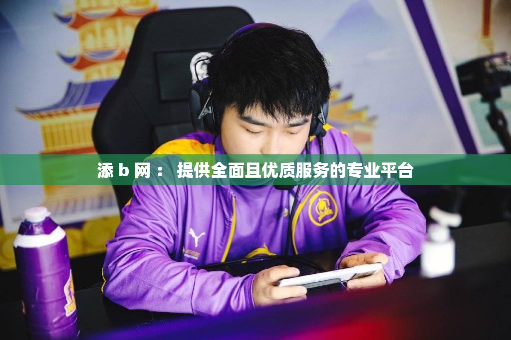 添 b 网 ： 提供全面且优质服务的专业平台