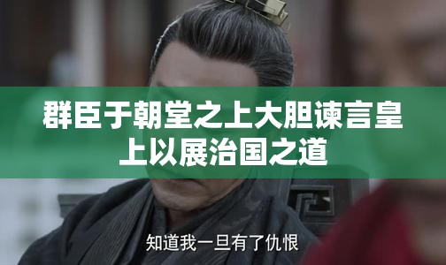 群臣于朝堂之上大胆谏言皇上以展治国之道