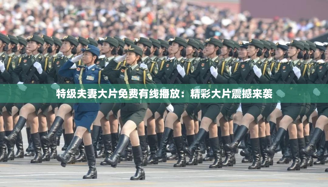 特级夫妻大片免费有线播放：精彩大片震撼来袭