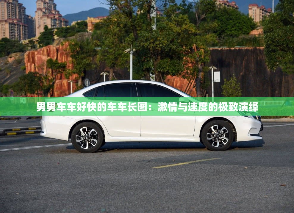 男男车车好快的车车长图：激情与速度的极致演绎