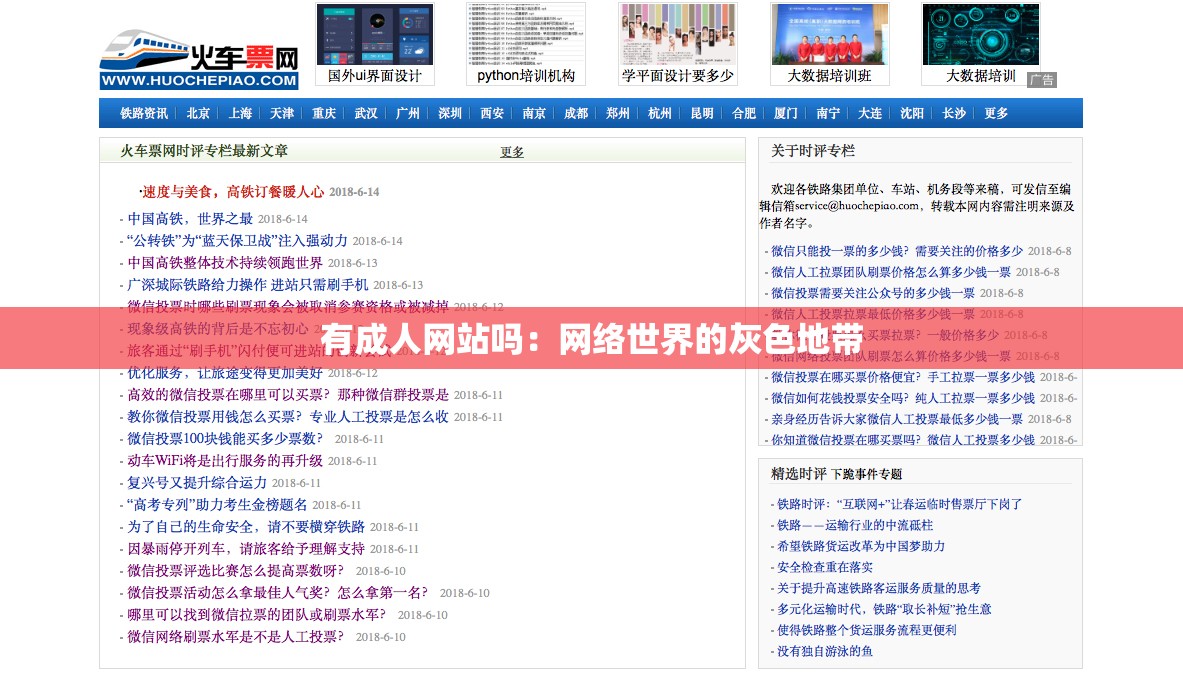 有成人网站吗：网络世界的灰色地带