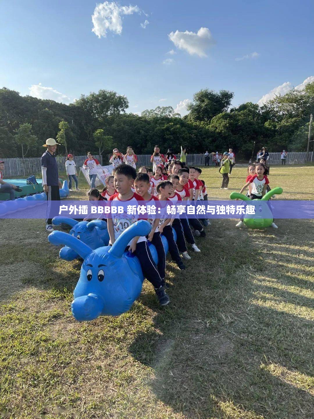 户外插 BBBBB 新体验：畅享自然与独特乐趣