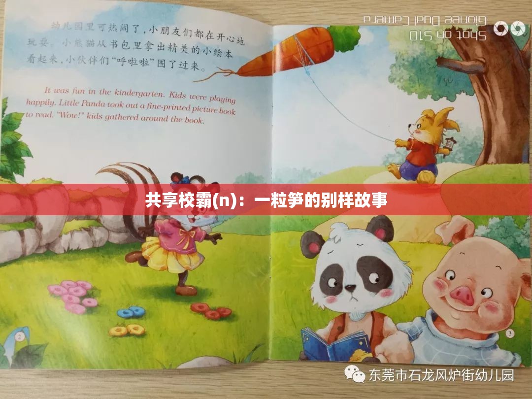 共享校霸(n)：一粒笋的别样故事