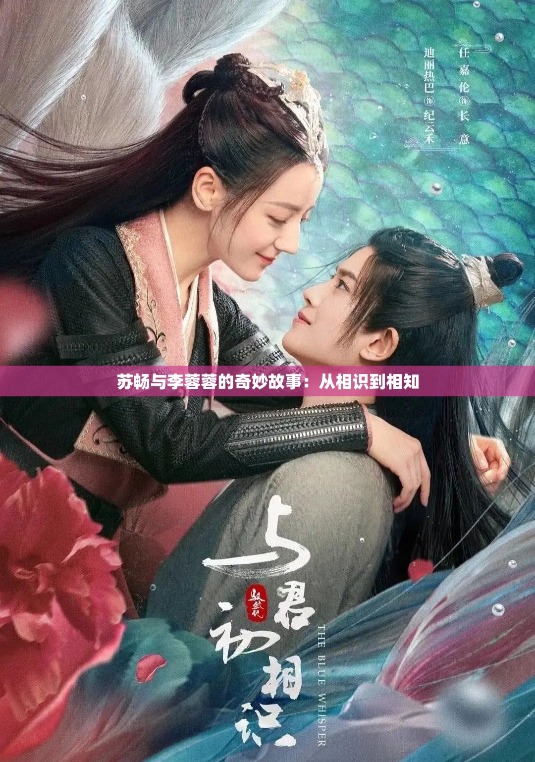 苏畅与李蓉蓉的奇妙故事：从相识到相知