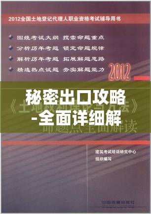 秘密出口攻略-全面详细解读与实战技巧分享
