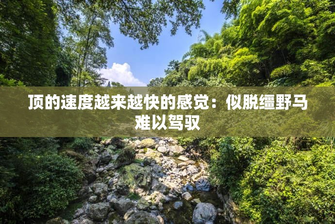 顶的速度越来越快的感觉：似脱缰野马难以驾驭