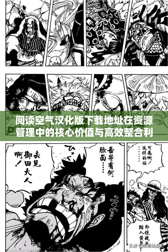 阅读空气汉化版下载地址在资源管理中的核心价值与高效整合利用策略