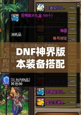 DNF神界版本装备搭配与资源管理艺术全面攻略指南