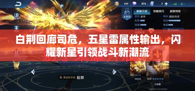 白荆回廊司危，五星雷属性输出，闪耀新星引领战斗新潮流