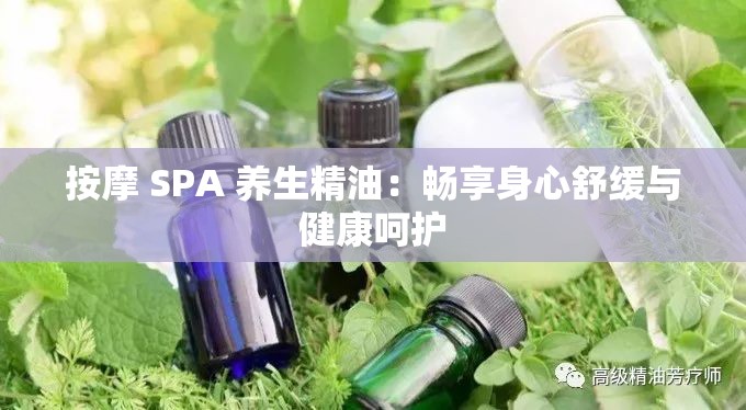 按摩 SPA 养生精油：畅享身心舒缓与健康呵护