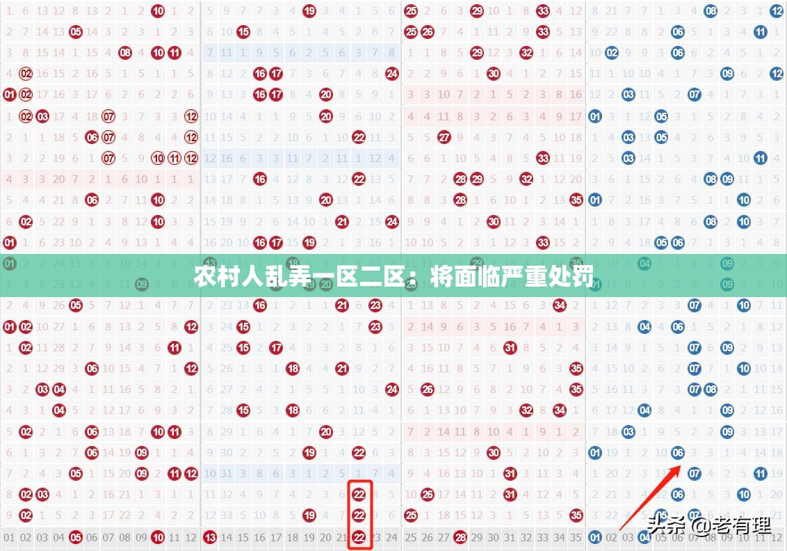 农村人乱弄一区二区：将面临严重处罚