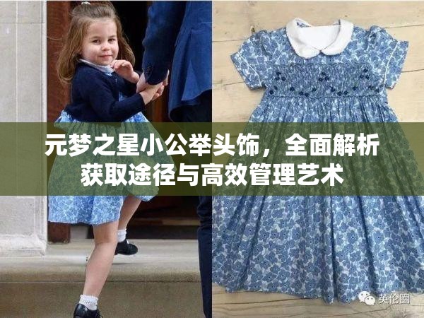 元梦之星小公举头饰，全面解析获取途径与高效管理艺术