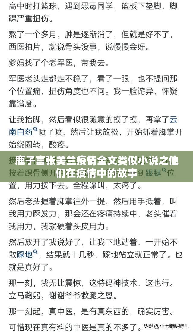 鹿子言张美兰疫情全文类似小说之他们在疫情中的故事